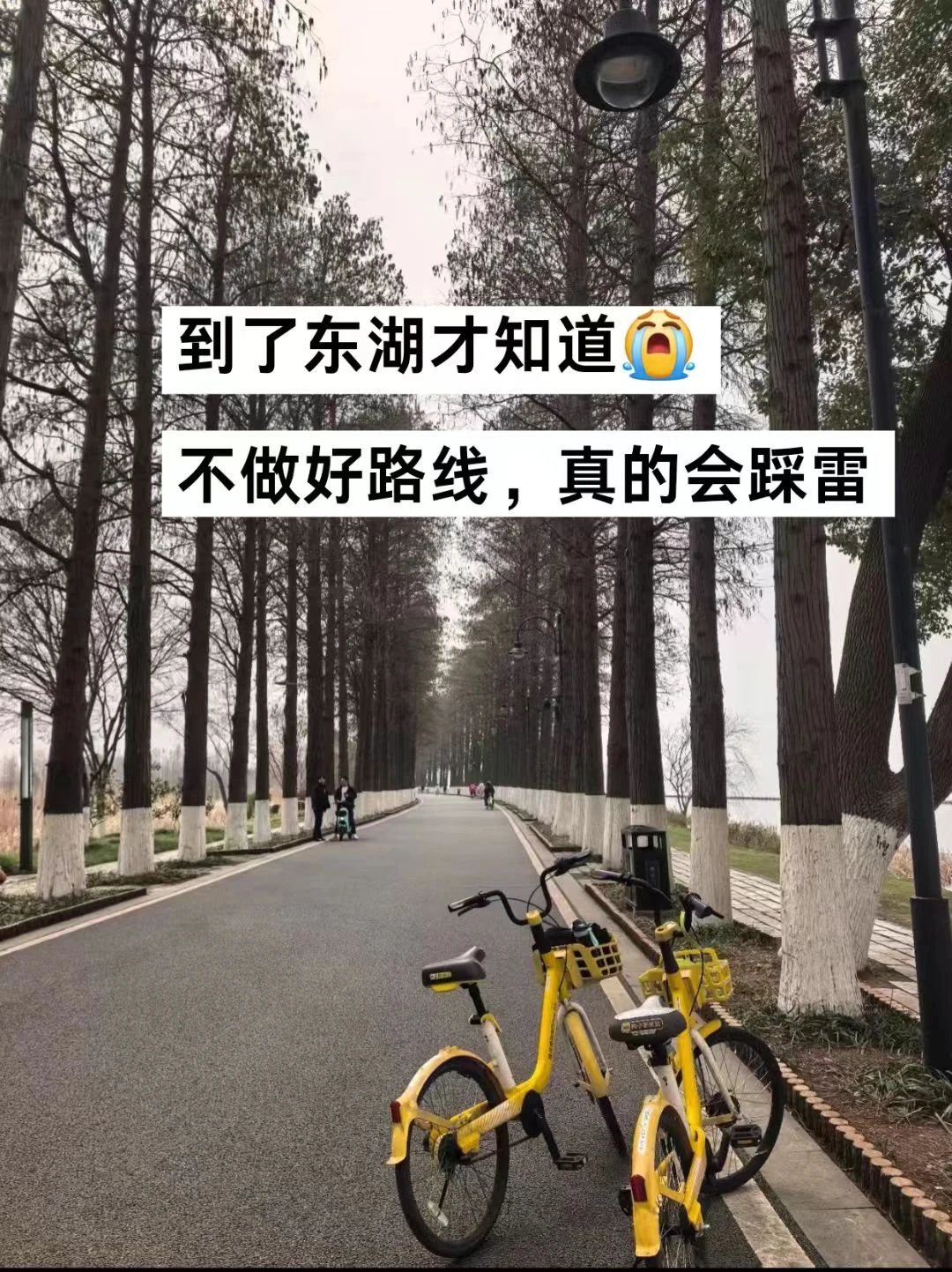 武汉东湖攻略｜懒人不绕路·拍照封神路线