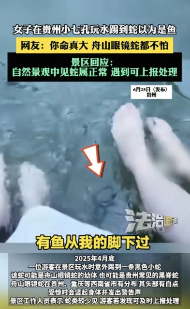 近日，贵州小七孔景区一名游客在玩水时踢到蛇的事件引发广泛关注，再次将生态旅游中的