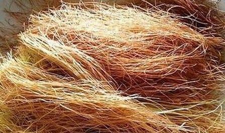 一根玉米须等于“二两黄金”? 用玉米须煮水, 有哪些食疗作用?