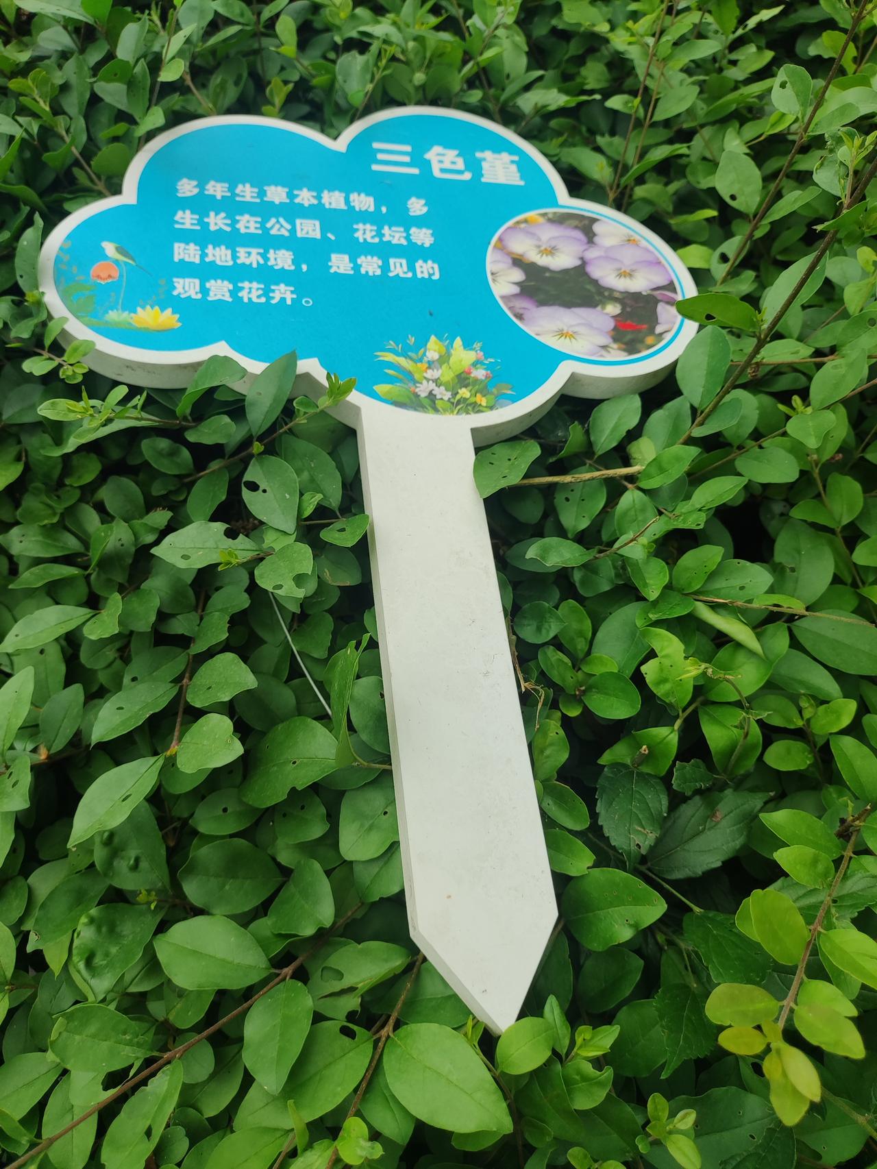 成都人朋友圈热传的“脾气双标定律”，看完我直接对号入座了最近发现一个扎心的成都