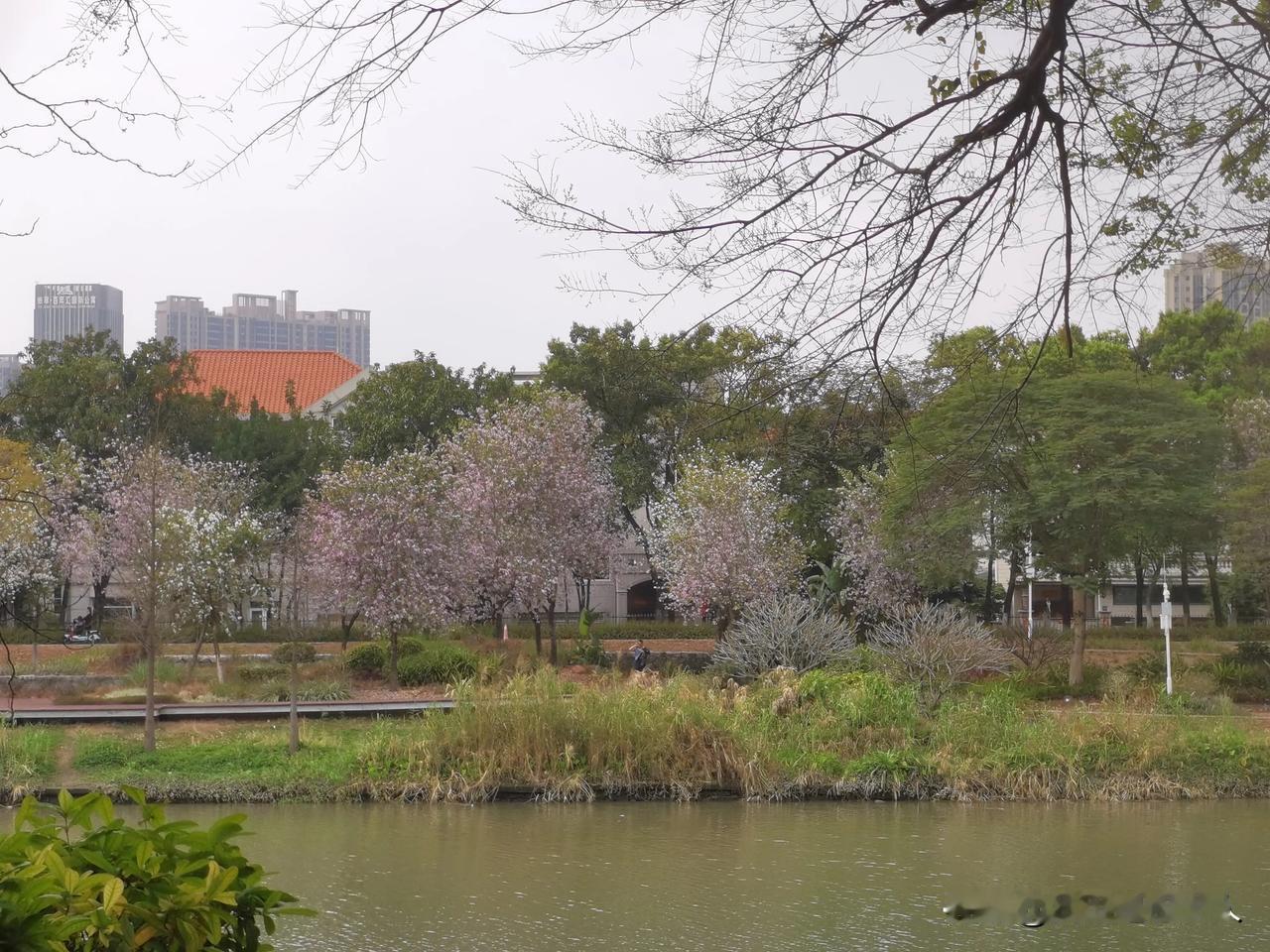 我娃班数学老师找了几个数学较好的学生给他们一对一安排了几个差生，让他们课间的时候