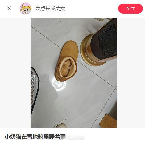 臭烘烘的小猫