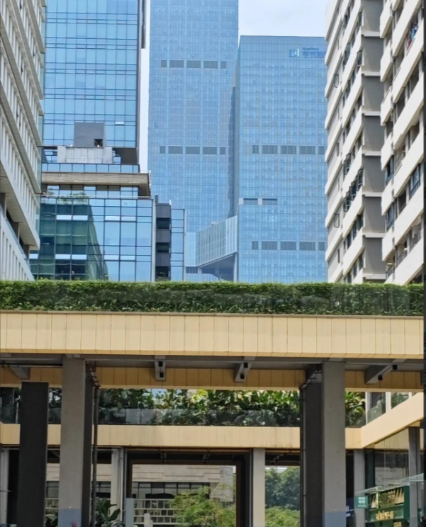 等了快一个月，某地理工大学终于对巴坦留学生给予退学申请的处理结果。为什么不是开除