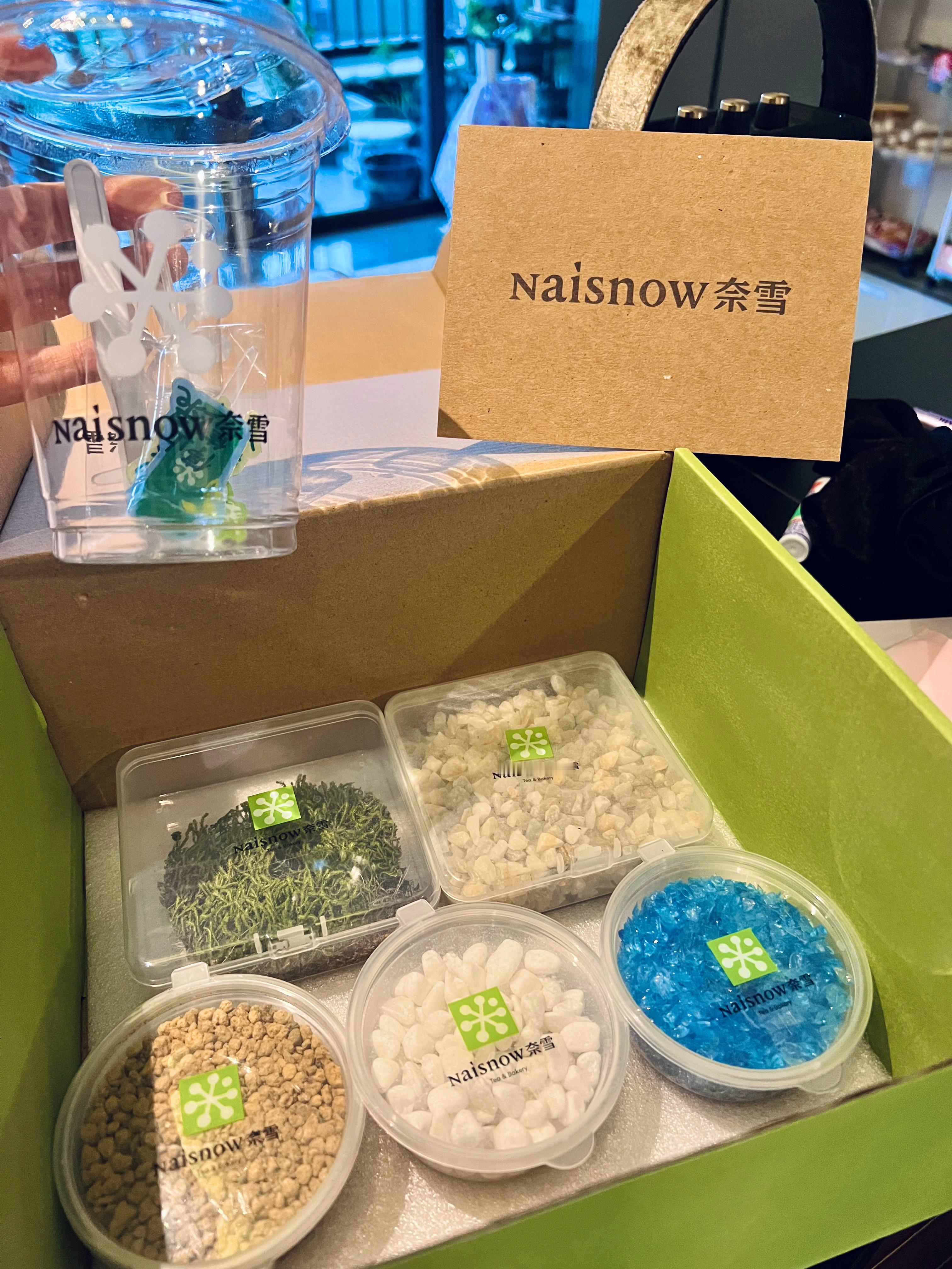 春日新爱好☀️🪴阳台种植小白已上线春日许愿池