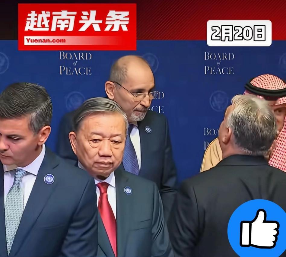 苏林啊！苏林！看着你一脸别扭的杵在那里，隔着十万八千里都觉得尴尬得要命。那哪是