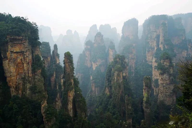 全网围观张家界“荒野求生”全网围观张家界“荒野求生”。这场赛事异常火爆！进行到