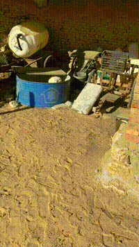 宁夏装死小羊身价飙升至30万元主人依旧坚持不卖1月13日，宁夏平罗县宝丰镇中方