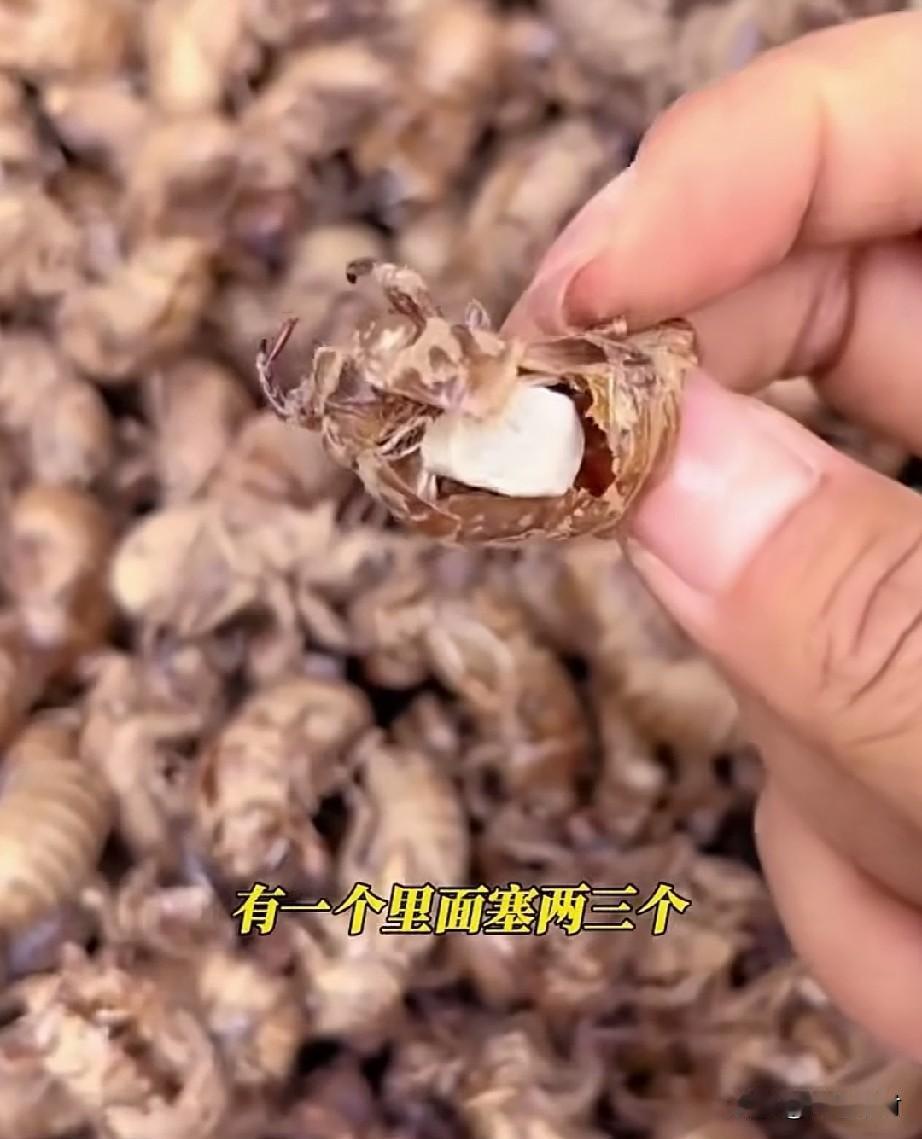 别被一些老头老太太的外表所欺骗，你可怜他们，他们骗你的时候心狠着呢。一个女子