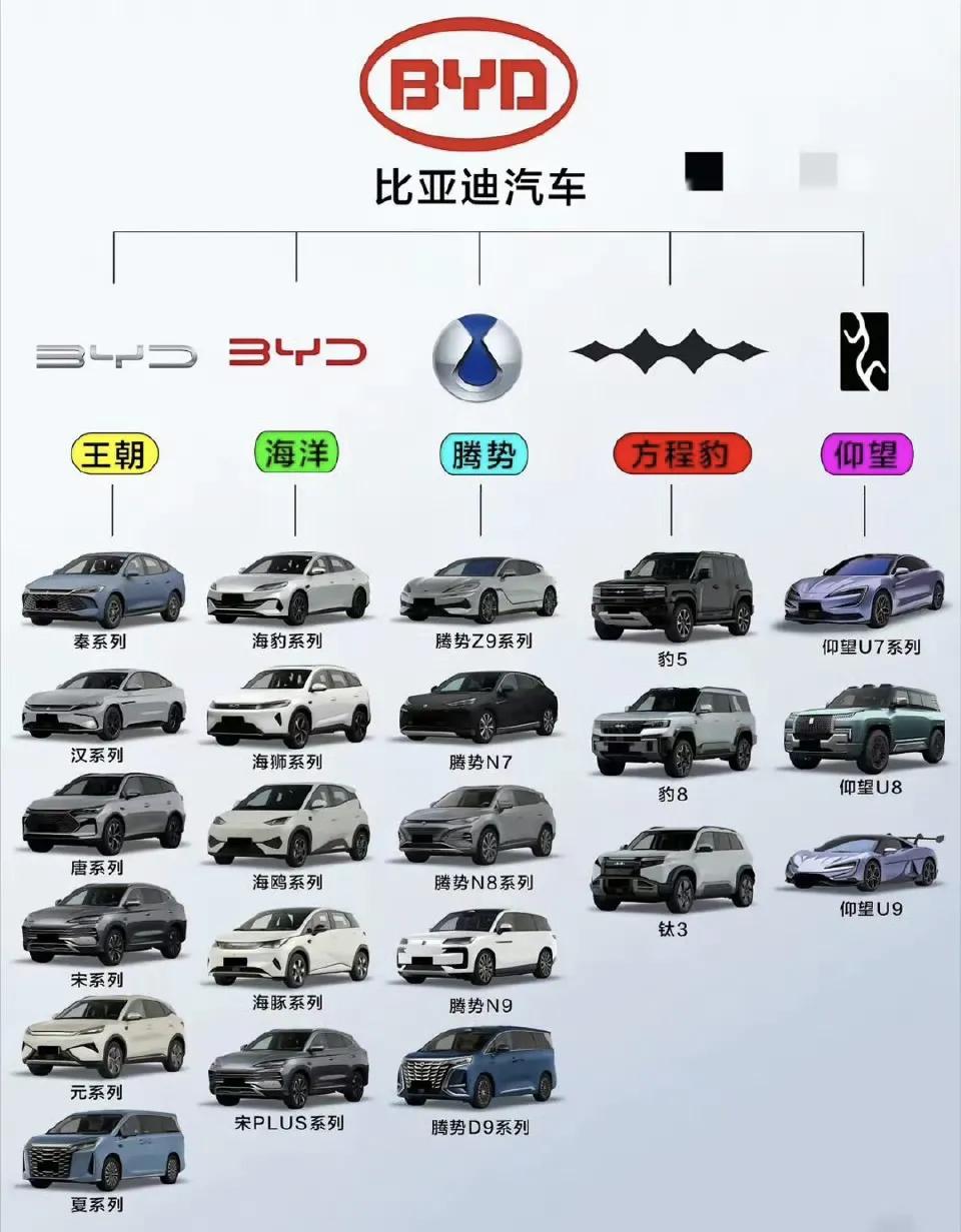 很多人不知道比亚迪到底有什么车型，这张图就可以很清晰地了解到比亚迪各个品牌的情况