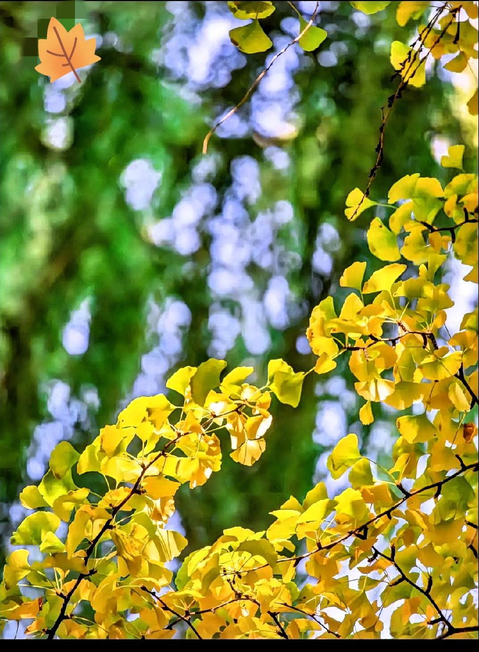沉默，是强者的无声力量你有没有察觉，真正厉害的人往往默不作声、话语寥寥。他们