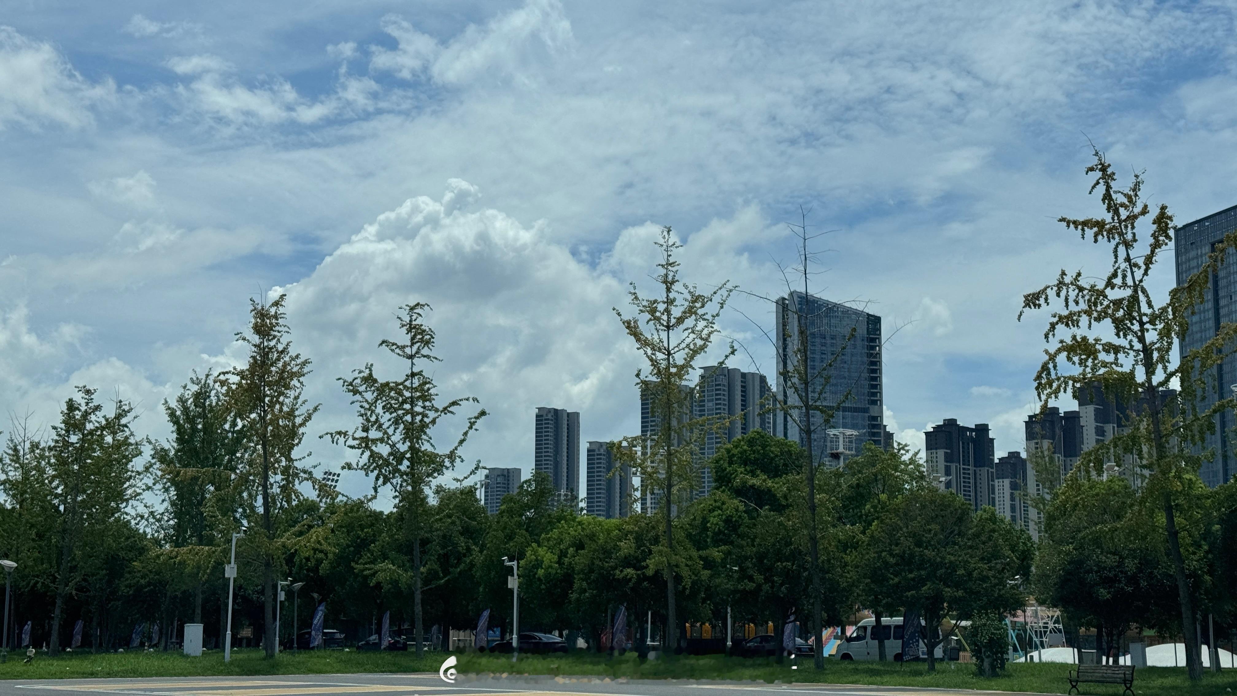 发量多的烦恼😣一到夏天就想剃光头👩‍🦲[笑着哭][笑着哭]​​​