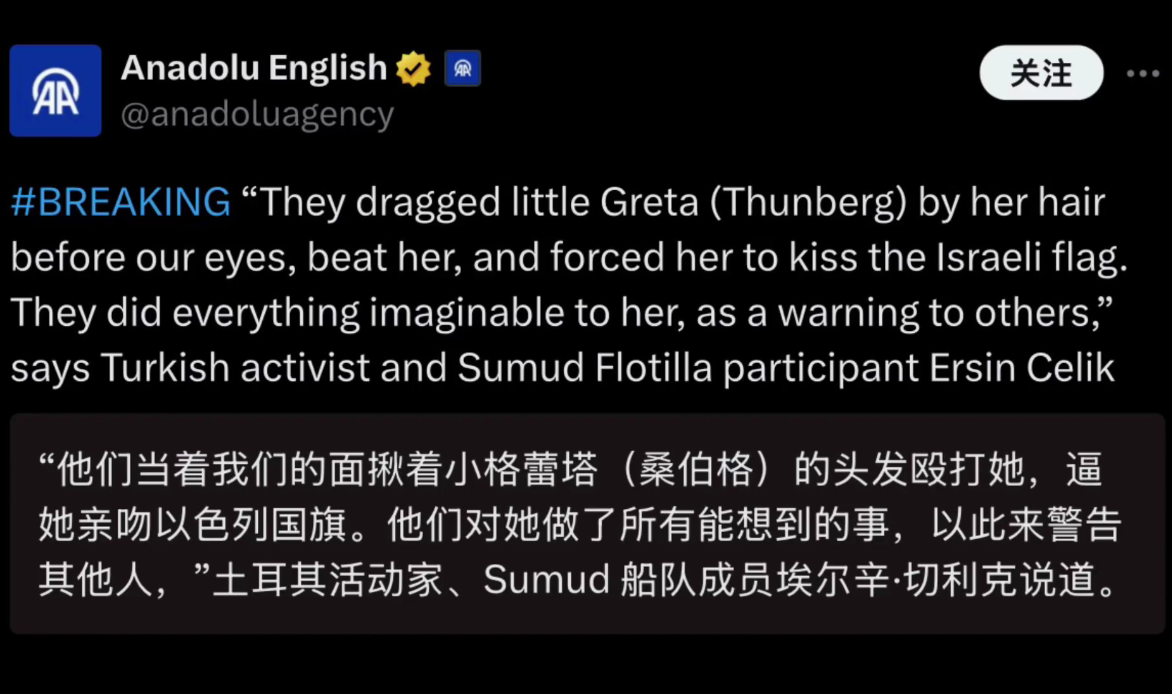 “他们当着我们的面揪着小格蕾塔的头发殴打她，逼她爬行、亲吻复国主义实体国旗。他们