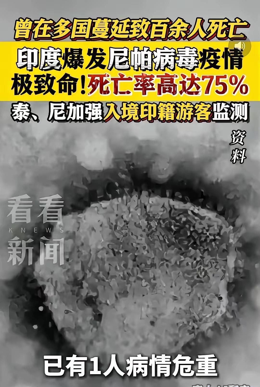 尼帕病毒袭击印度。死亡率高达75%，我敢说，这种病毒西医百分百治不了，能对付它的