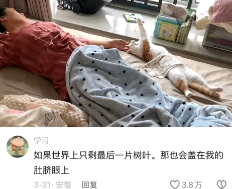 到底是怎么做到如此统一的