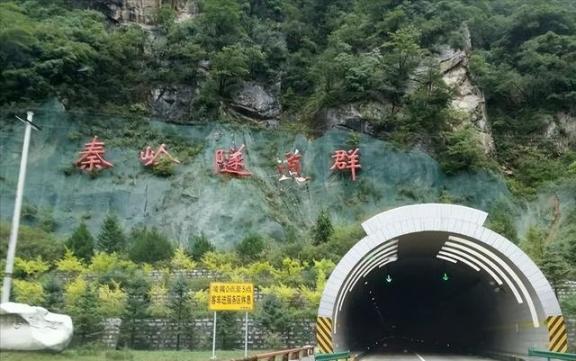 “给中国100年也造不出来，我们开天价他们也只能乖乖购买！”由于技术缺失，中国花