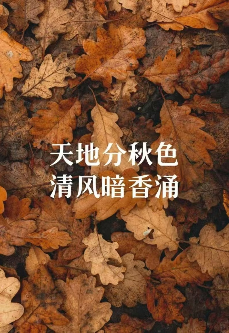 秋分，昼夜均分，能量平衡，是一年4次重要的转换节点，若此时你恰巧处于低谷，也正是