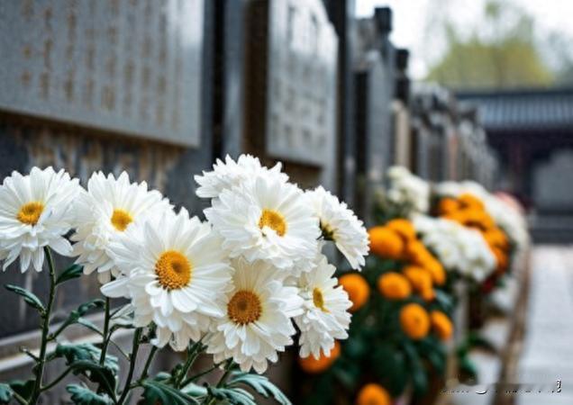 新的殡葬制度将于2026年3月30号执行，大概意思就是：一切从简，城