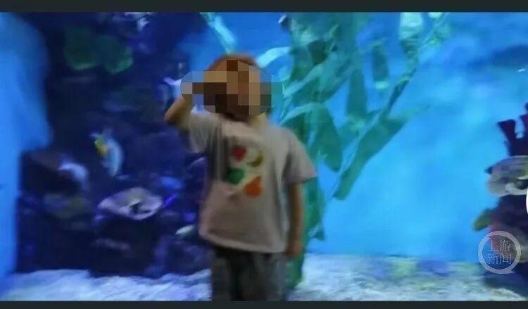 60块钱，买走了4岁孩子的一条命？这是我今年看到的最让人头皮发麻的新闻。这不