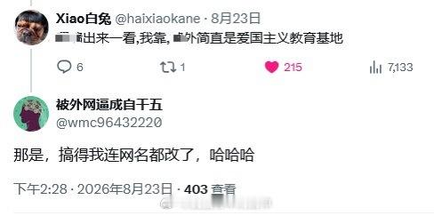 正常人的话，一般都会很快被海外中文圈逼成粉红，更加爱国。海外简中圈才是真正的大外
