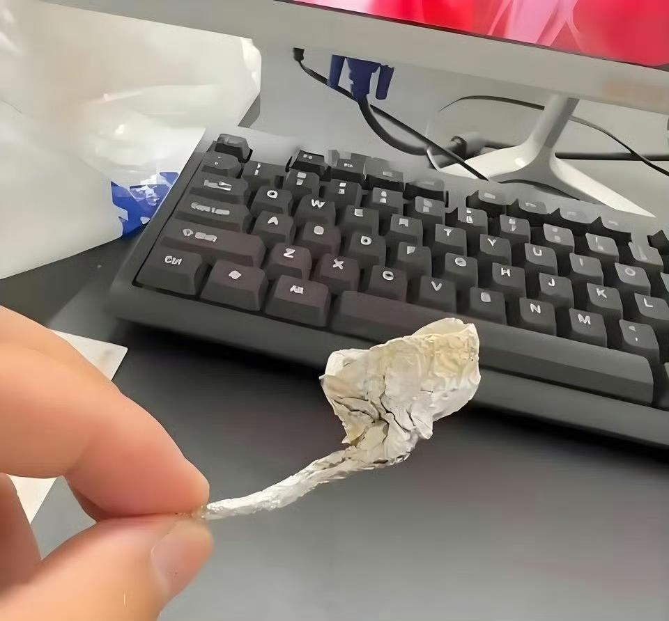 孩子房间发现的，这是什么？​​​