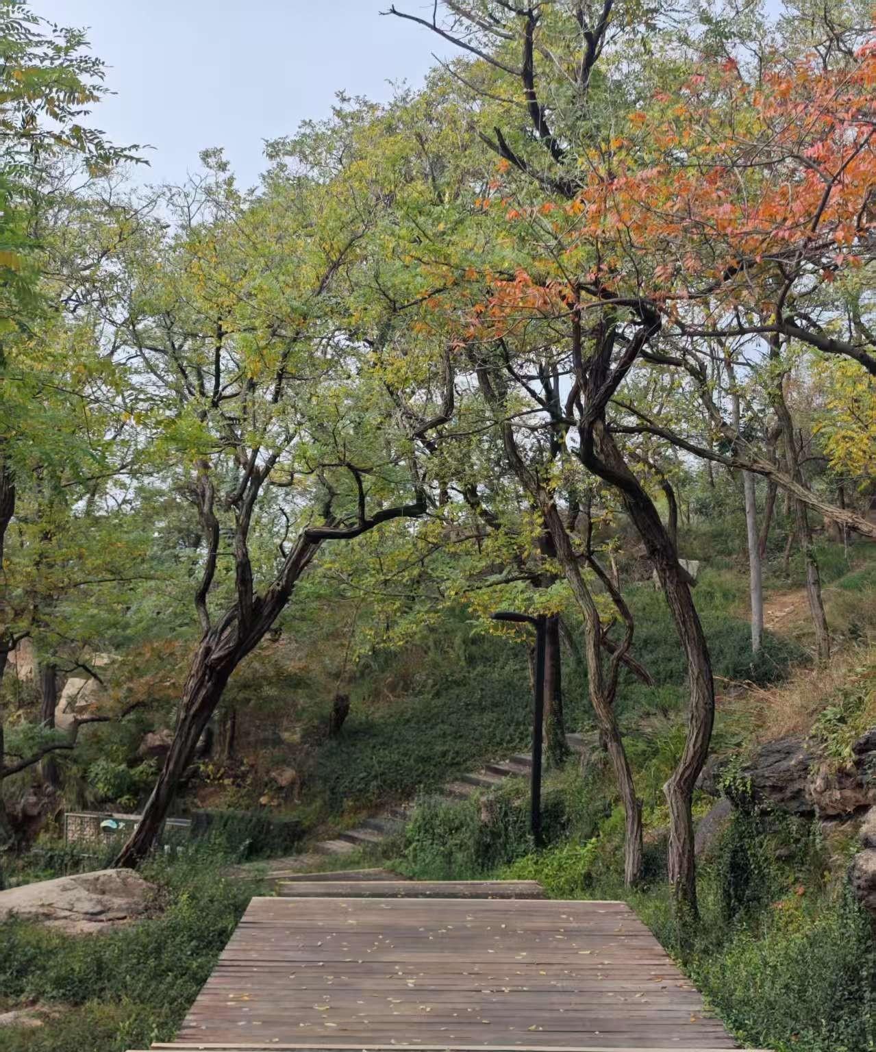 村里有个老人瘫痪了，他有5个孩子，都不愿意照顾老人，他家老二人老实，也孝顺，他愿