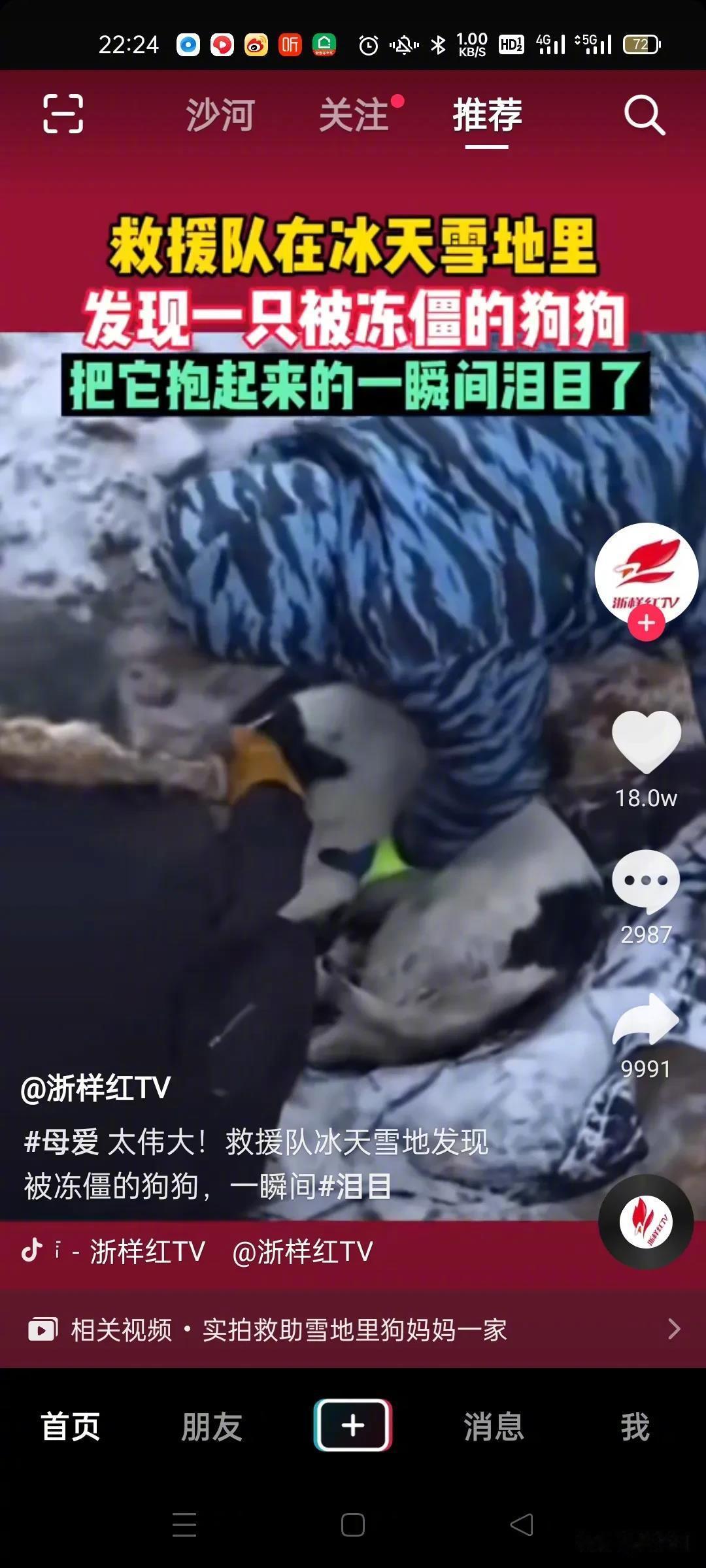 冰天雪地里，蜷缩着一只狗，几乎要冻僵了。救援人员发现后，立马将她抱起，眼前的一幕