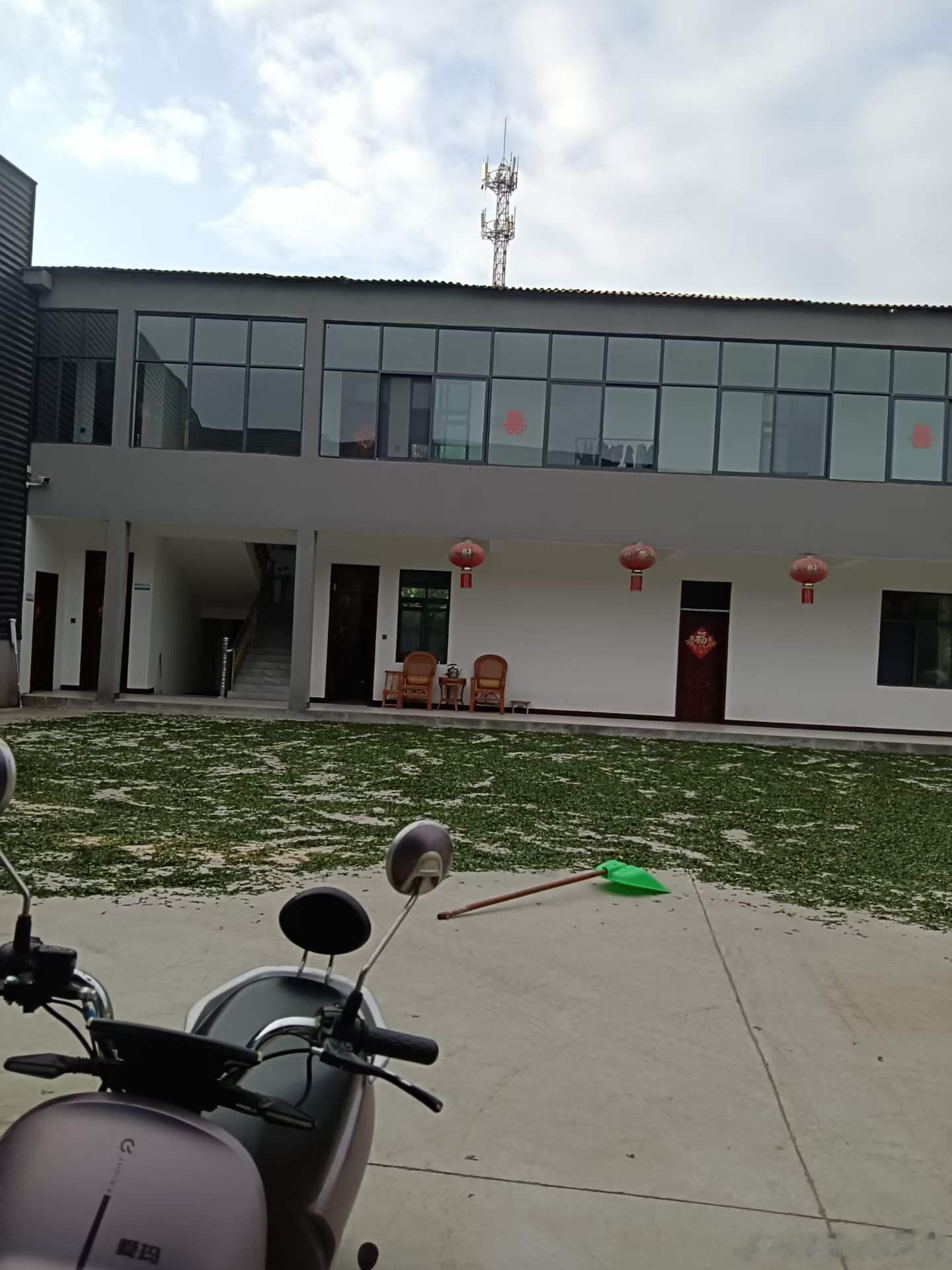 我们村里的小学改成了一个茶叶加工厂。是一个做了几十年茶叶生意的村民开的。他今年6