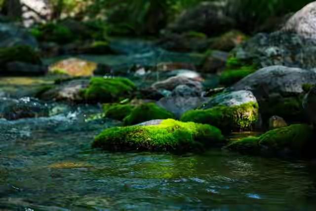 人到中年，莫管闲事人至中年，早已褪去年少的锋芒，懂得把日子过成自己的风景。他