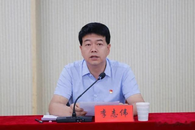 严重违纪违法, 李志伟已被严肃处理