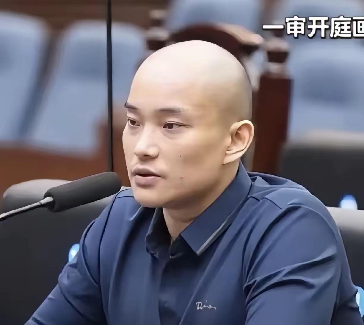 白应苍的法律制裁已落地，他的父亲白所成却没能等到最终裁定，一审宣判后便因病离世，