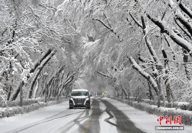 新疆多地出现大暴雪, 还会下多久?