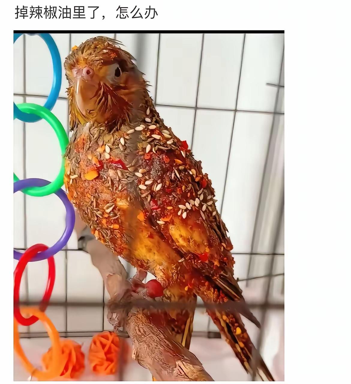 你是不是想问不去毛怎么吃[捂脸哭]