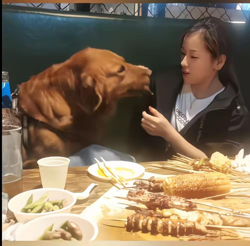 看了这个图片，让人无语。一女子带着狗狗在饭店吃烤串，这是在恶心别人。女子咋想