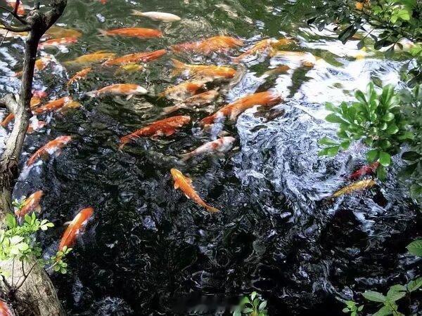一个人强大到可怕的10种心境——洞见王阳明说：身之主宰便是心，心之所发便是意。 