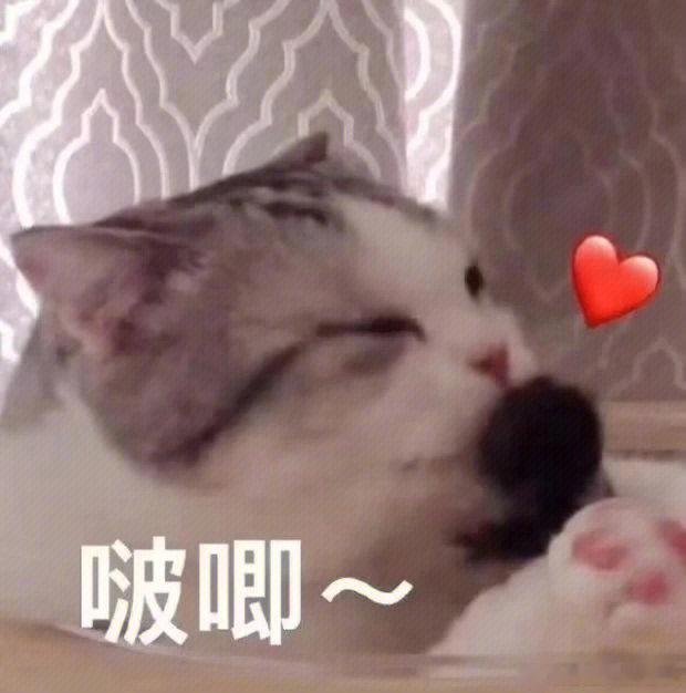 十二星座最想被爱的方式：最想要陪伴——不用多浪漫，在就好金牛、巨蟹、摩羯最想要认