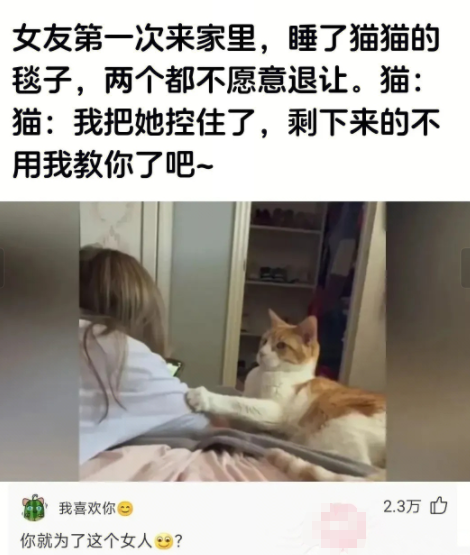 两个都不愿意退让