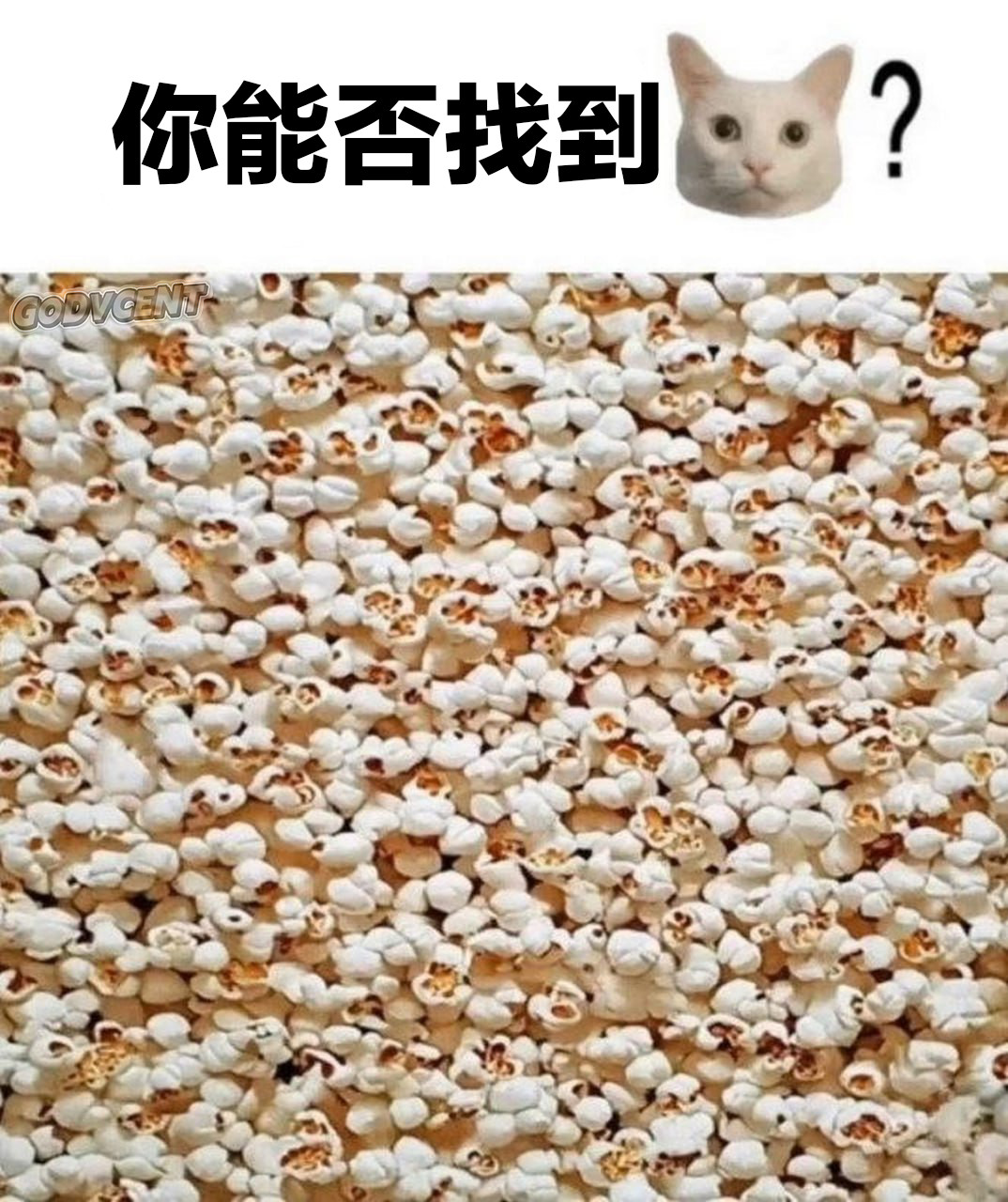 真难呀​​​