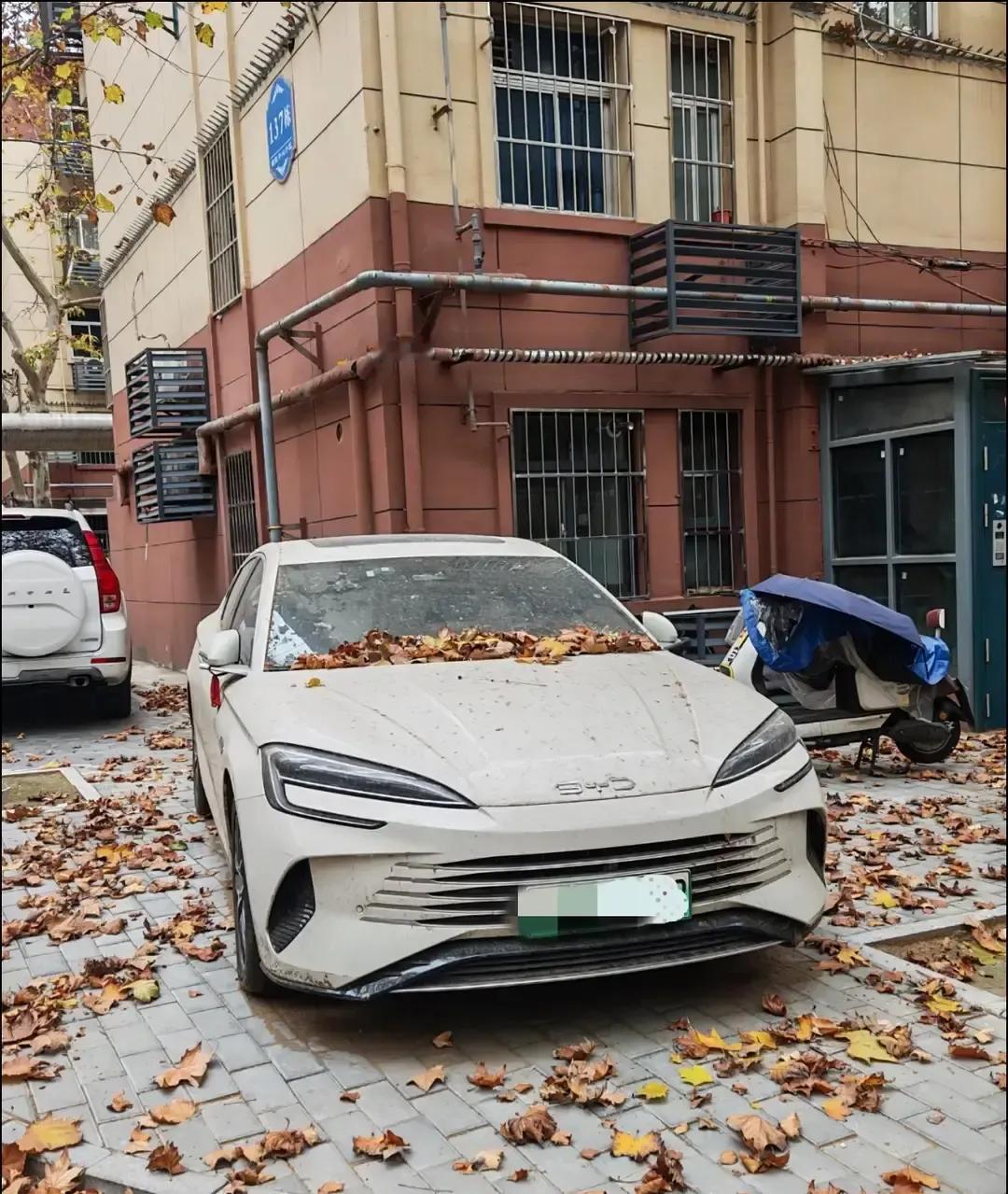 比亚迪海豹在小区车位躺了快一年，车主一次没动，结果刹车盘锈成红褐色，电池直接饿死