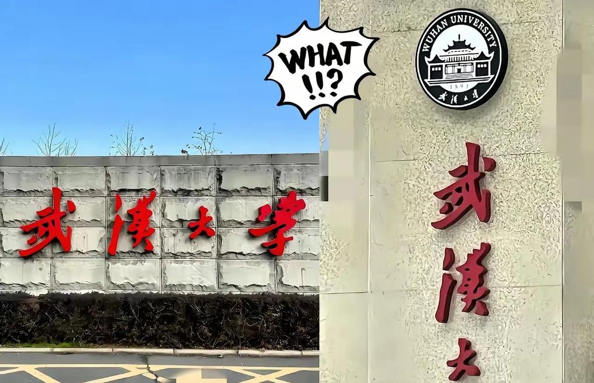 一张法院的判决书，把武汉大学推上了火山口。这纸判决，直接给校方之前的一次“性骚