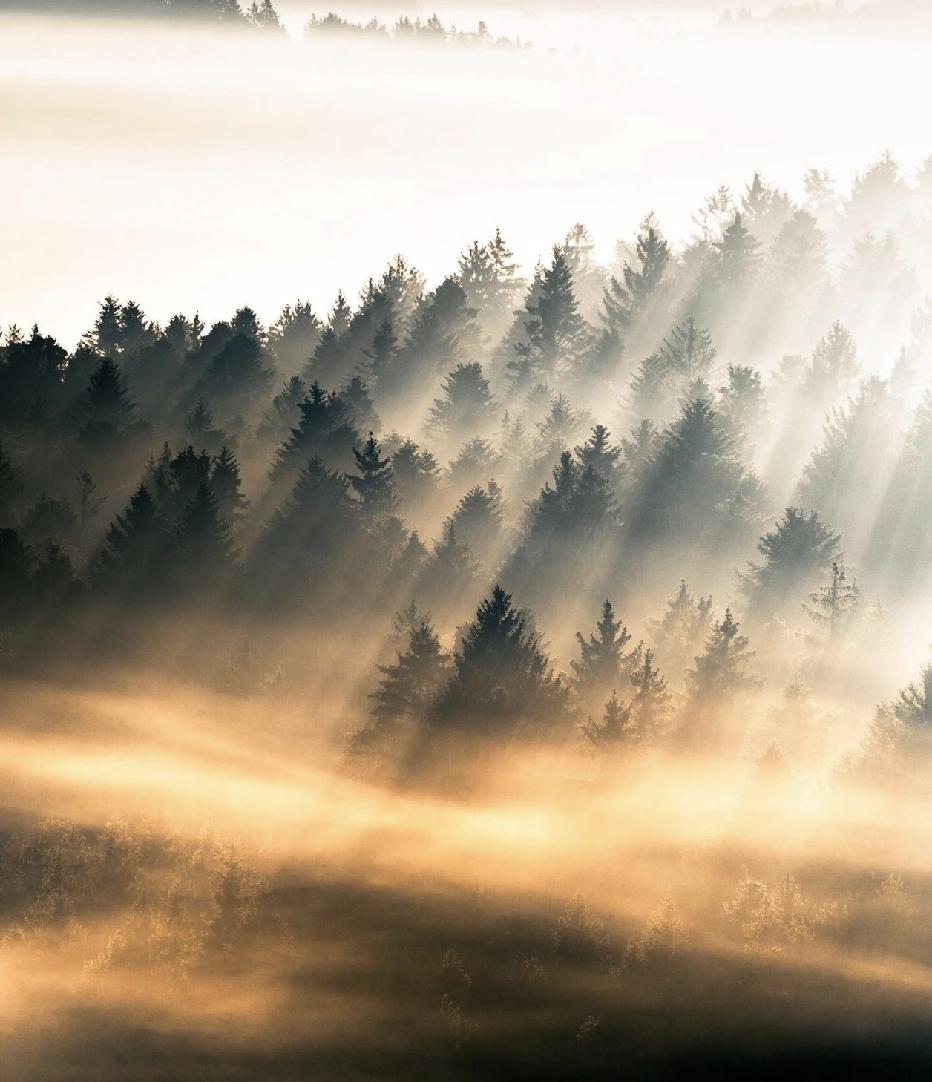 一位大佬说：“没有亲人，你能活；没有朋友，你能活；就算一个人，你也能好好活。