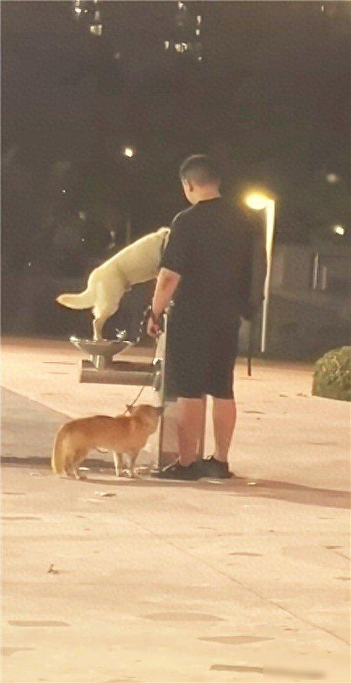 深圳男子用直饮水系统清理狗！网友：白天人还怎么喝！近日，一段由市民带着