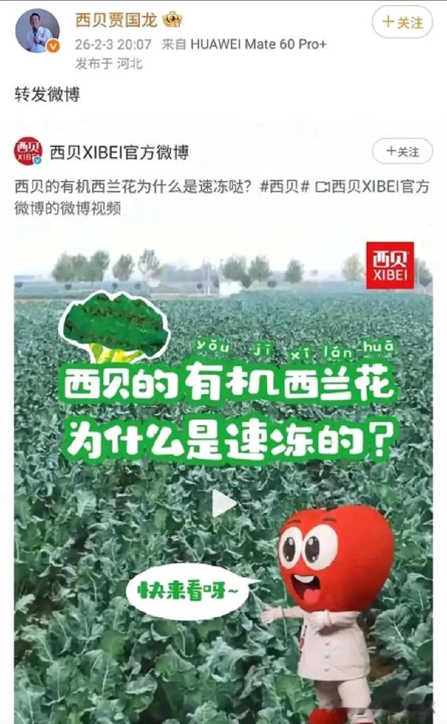 大家看看贾总，贾国龙这是什么意思？为什么给大家科普？他的这种表现，就是教育消费者