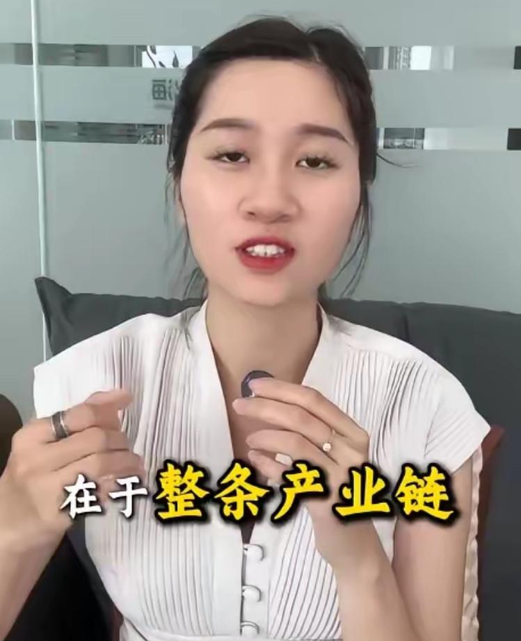 “南北高铁项目是个诱饵，白嫖技术和产业链才是真正的目的”。越南女博主说得很直白：