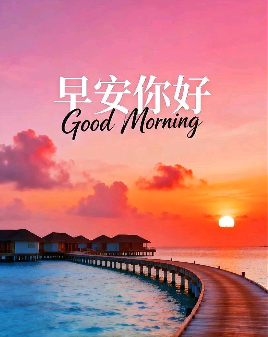 💖心怀热爱，奔赴周四，新的一天，是生活赠予的又一份礼物。愿你的每一步都走得坚定