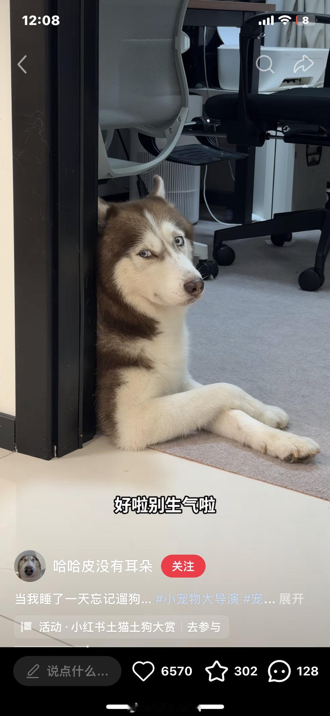 真的好像哈喽​​​