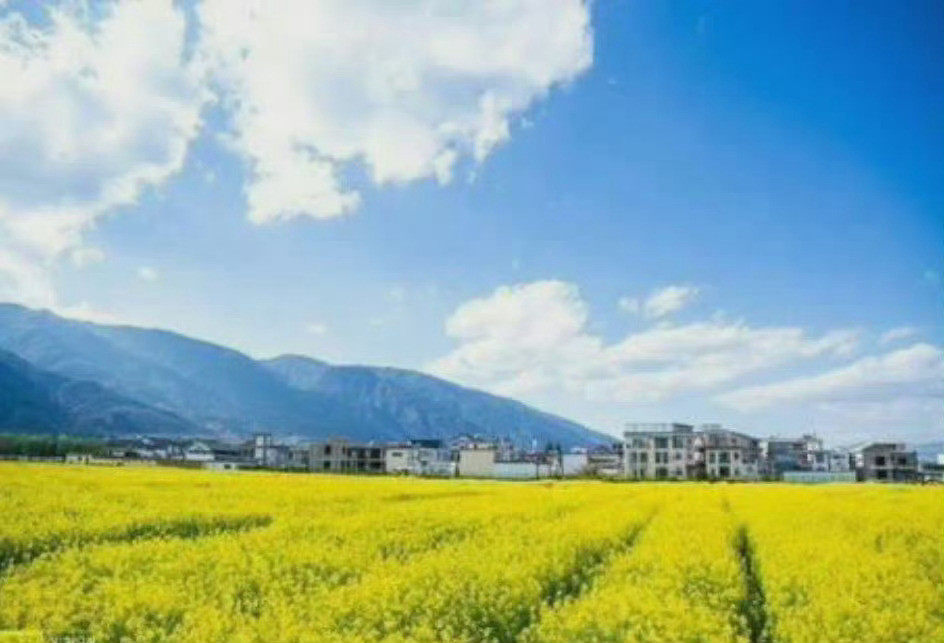 大理的春天，我陪你去...............