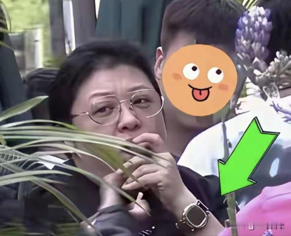韩红近日为什么被普通百姓厌恶？主要是近些年私生活被广大网友扒出，（比如价值不菲的
