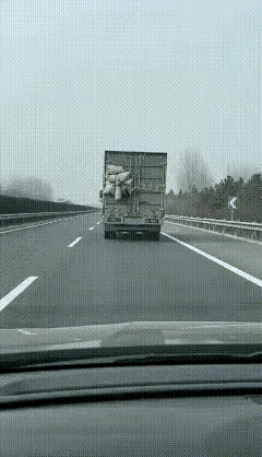 小哥：晚上小鸡炖蘑菇[呲牙笑]