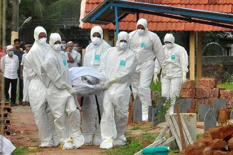 别慌！面对“尼帕”来袭，家中备好这5样，关键时刻能救命！2026年1月27日