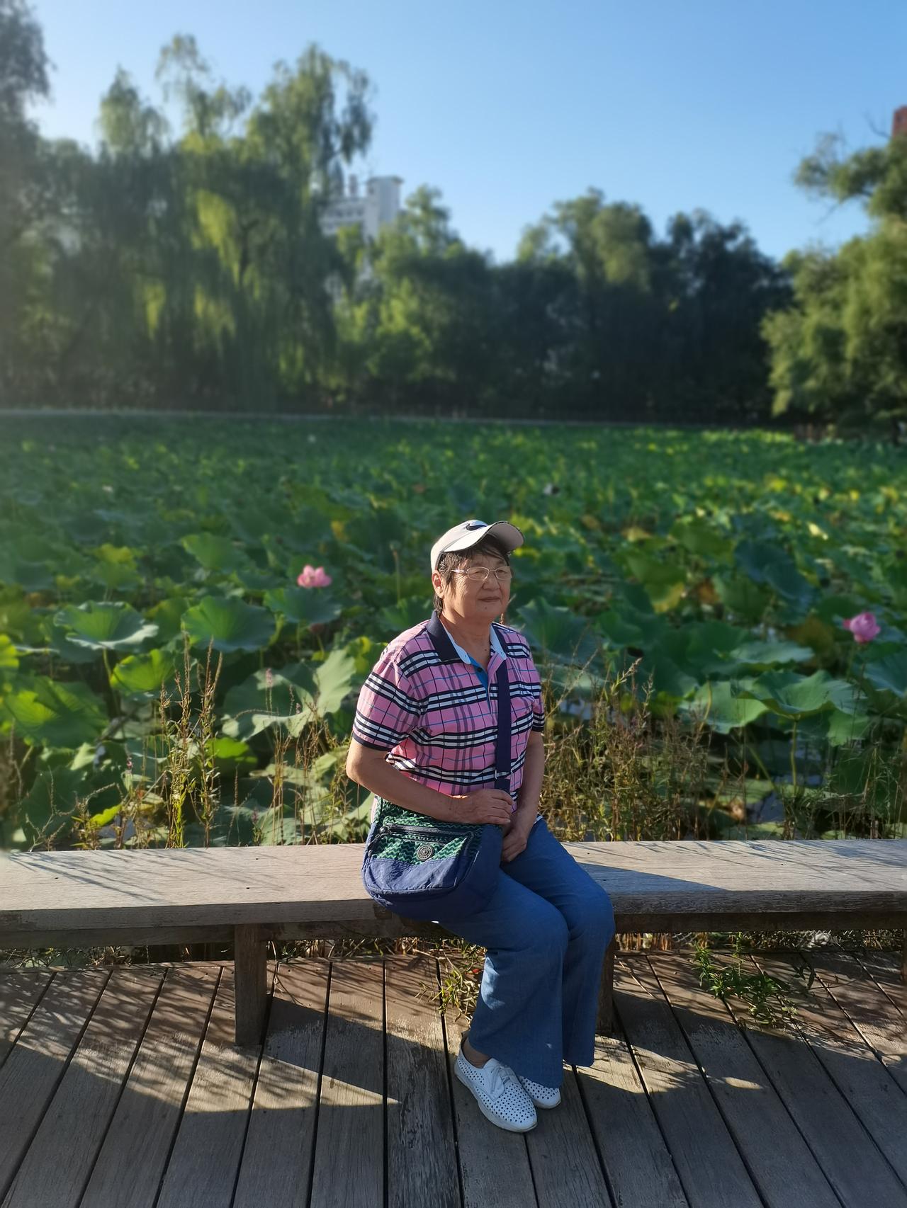 迎泽公园后花园，菏花盛开一年年。出门正对医学院，硕博连读才俊杰。太原公园